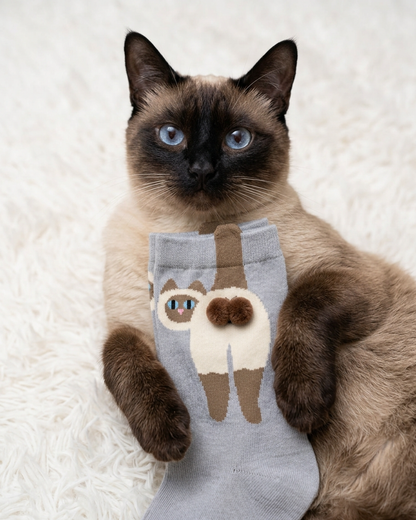 Kitty Balls Socks
